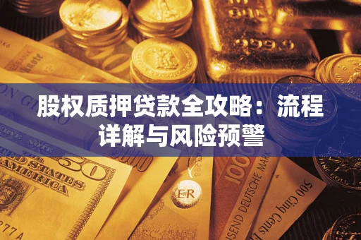 北京股权质押贷款全攻略：流程详解与风险预警