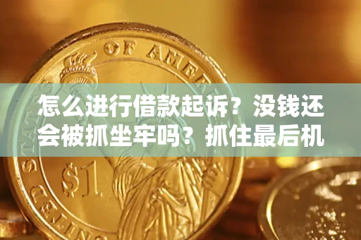 北京怎么进行借款起诉？没钱还会被抓坐牢吗？抓住最后机会！