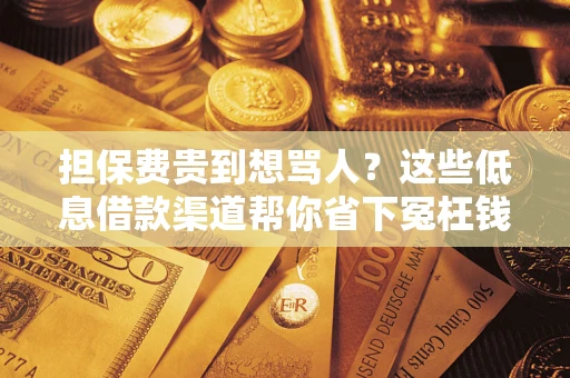 北京担保费贵到想骂人？这些低息借款渠道帮你省下冤枉钱