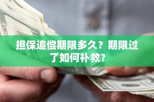 北京担保追偿期限多久？期限过了如何补救？