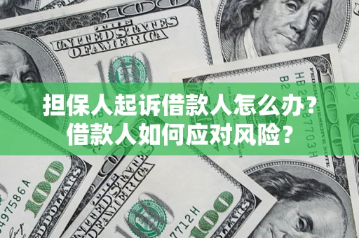 北京担保人起诉借款人怎么办？借款人如何应对风险？